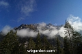 wbgarden alps 40